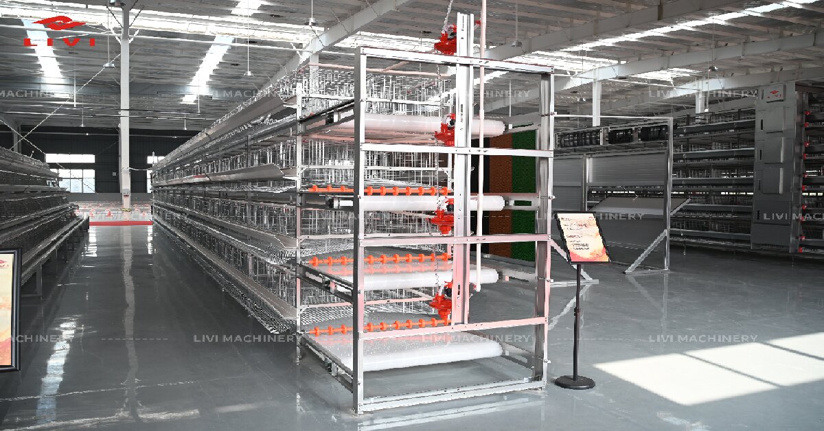 how much does a 50,000 layer farm cost in uganda